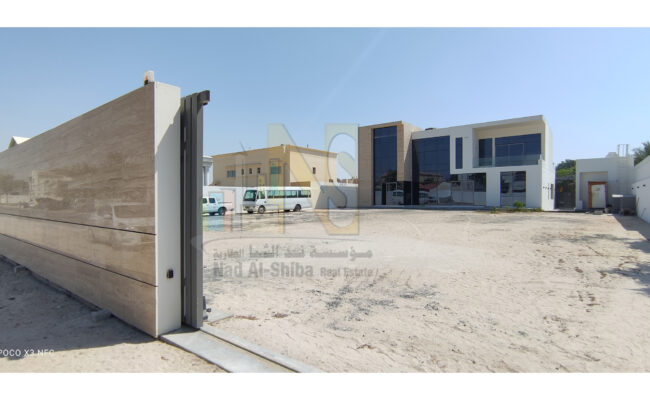 IMG_2_watermark_back